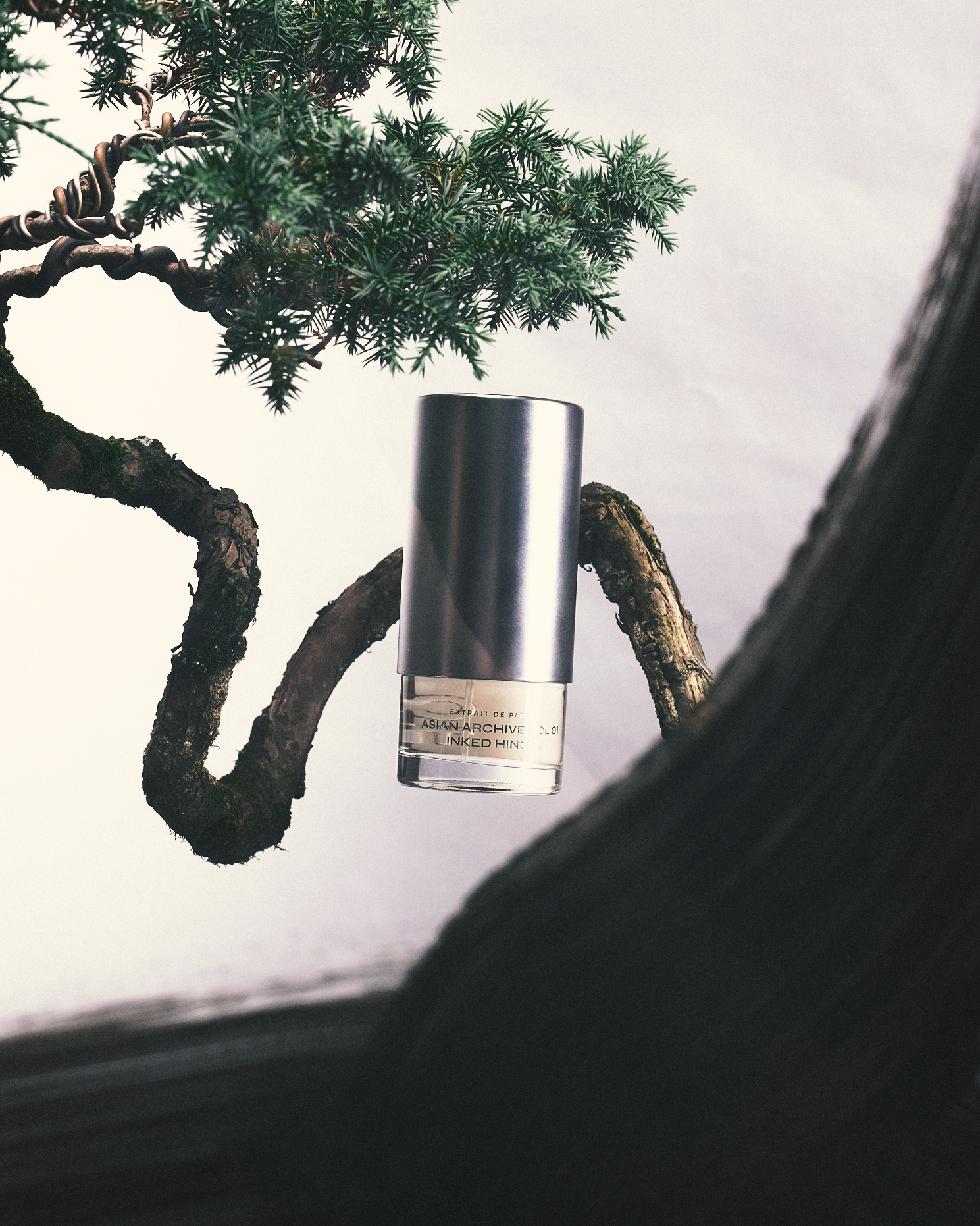 ASIAN ARCHIVE VOL 01: INKED HINOKI